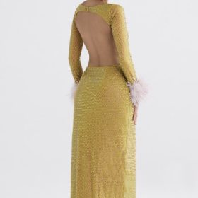 Gina Chartreuse Crystallised Maxi Dress - Image 12