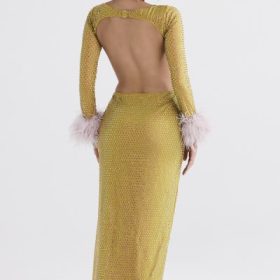 Gina Chartreuse Crystallised Maxi Dress - Image 13