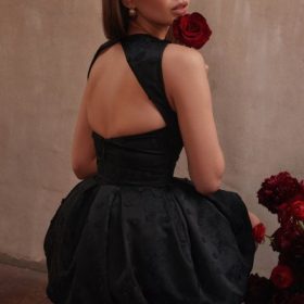 Melika Black Backless Embroidered Mini Puffball Dress