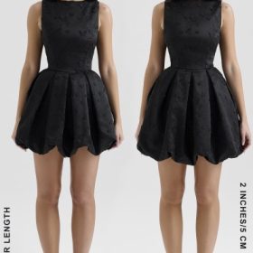 Melika Black Backless Embroidered Mini Puffball Dress - Image 12